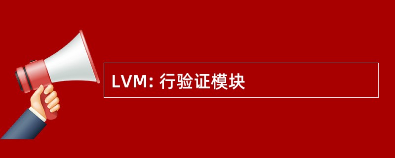 LVM: 行验证模块