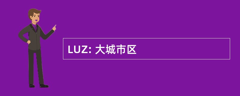 LUZ: 大城市区