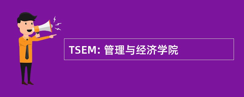 TSEM: 管理与经济学院