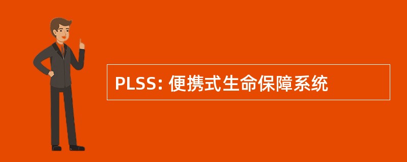 PLSS: 便携式生命保障系统