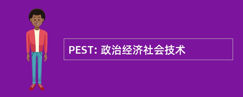 PEST: 政治经济社会技术