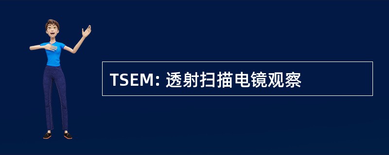 TSEM: 透射扫描电镜观察