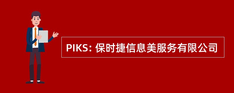 PIKS: 保时捷信息美服务有限公司