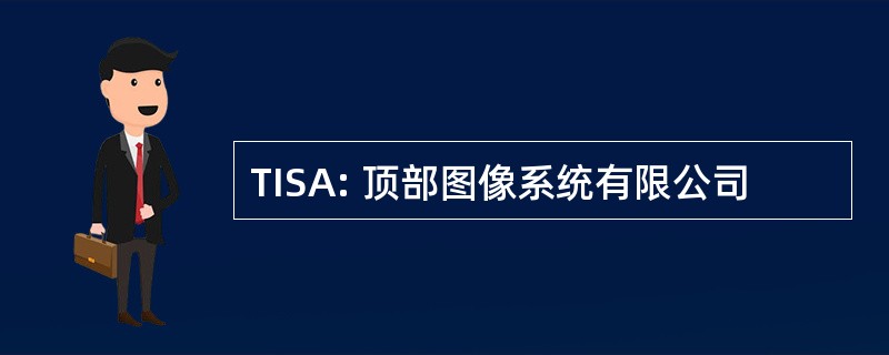 TISA: 顶部图像系统有限公司