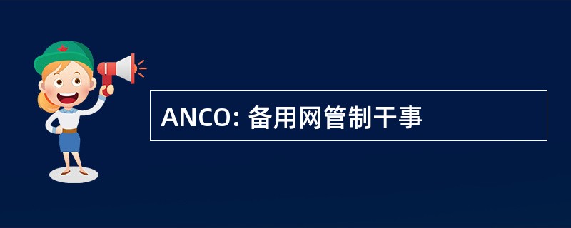 ANCO: 备用网管制干事