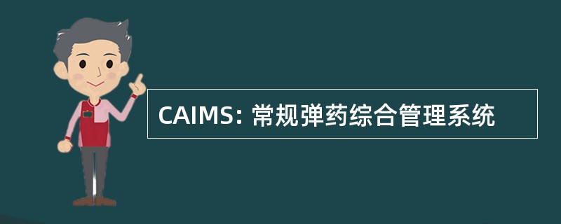 CAIMS: 常规弹药综合管理系统