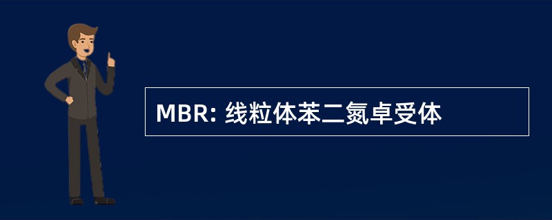 MBR: 线粒体苯二氮卓受体