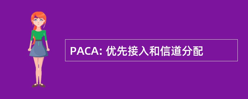 PACA: 优先接入和信道分配