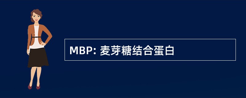 MBP: 麦芽糖结合蛋白