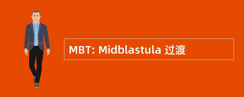 MBT: Midblastula 过渡