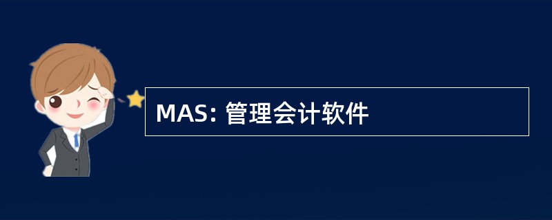 MAS: 管理会计软件