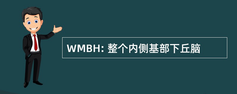 WMBH: 整个内侧基部下丘脑