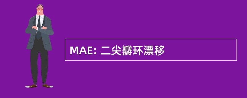 MAE: 二尖瓣环漂移