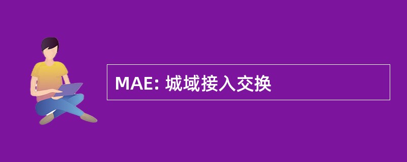 MAE: 城域接入交换