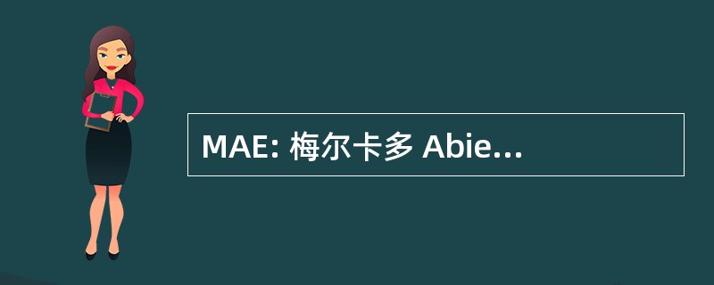 MAE: 梅尔卡多 Abierto ElectrÃ³nico SA