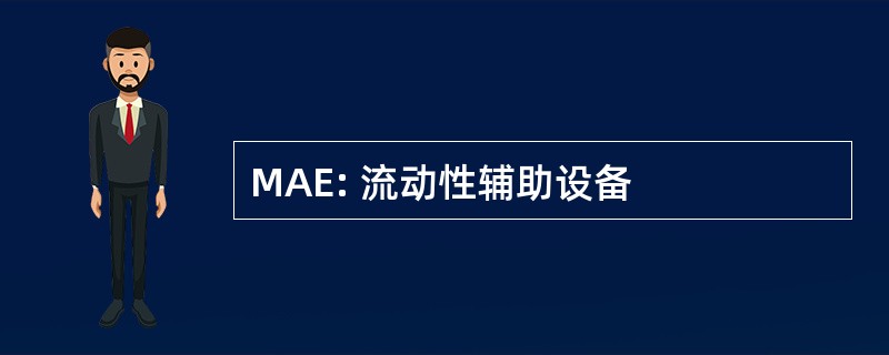 MAE: 流动性辅助设备