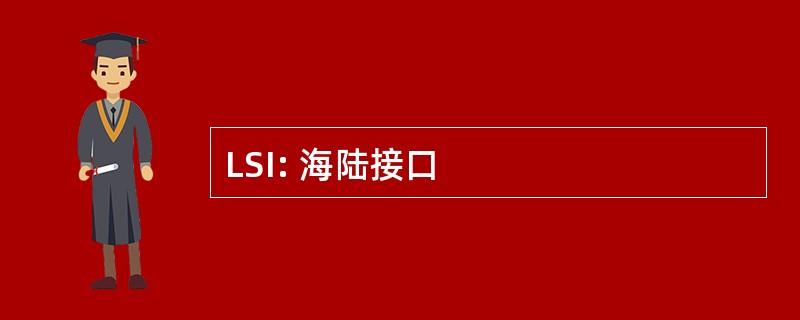 LSI: 海陆接口