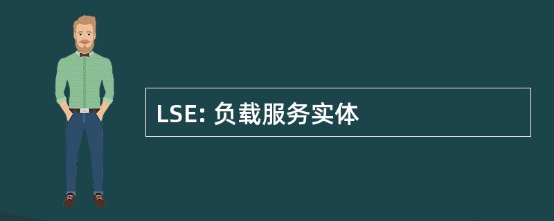 LSE: 负载服务实体