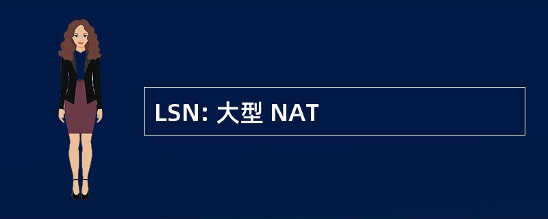 LSN: 大型 NAT