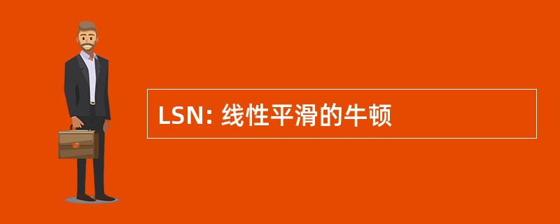 LSN: 线性平滑的牛顿