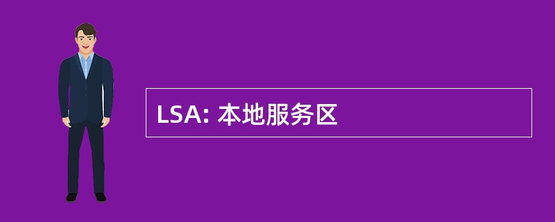 LSA: 本地服务区