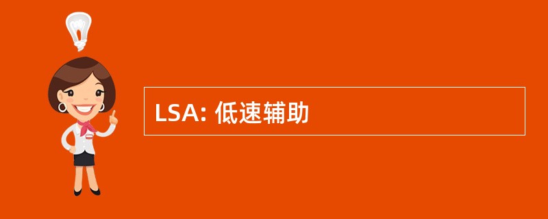 LSA: 低速辅助