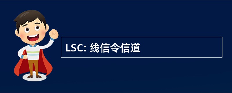 LSC: 线信令信道