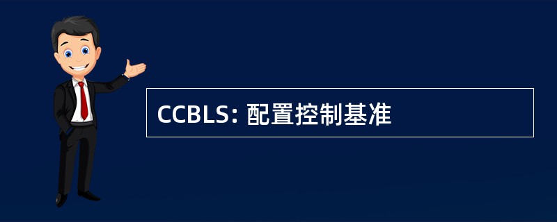 CCBLS: 配置控制基准