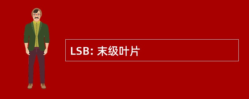 LSB: 末级叶片