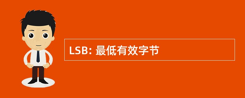 LSB: 最低有效字节