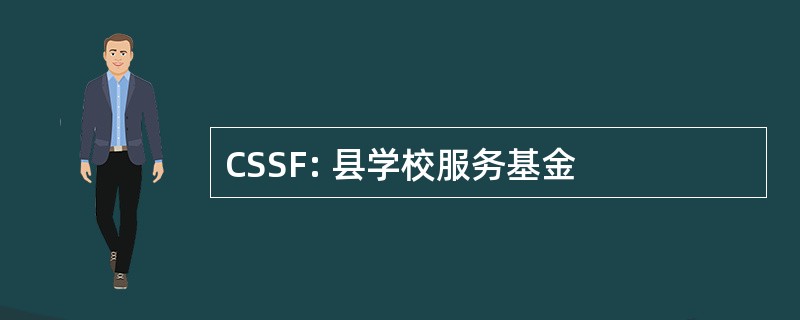 CSSF: 县学校服务基金