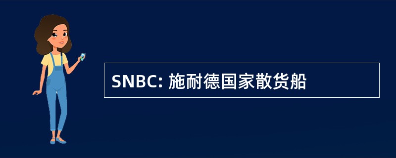 SNBC: 施耐德国家散货船