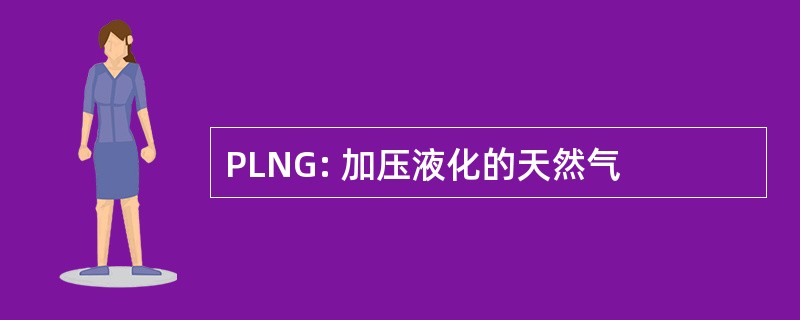 PLNG: 加压液化的天然气