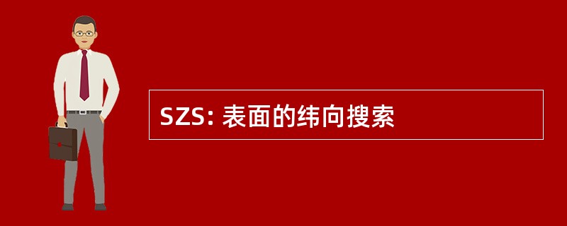 SZS: 表面的纬向搜索