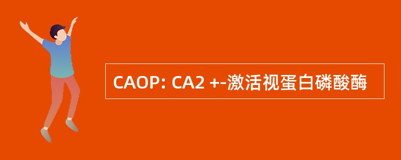 CAOP: CA2 +-激活视蛋白磷酸酶