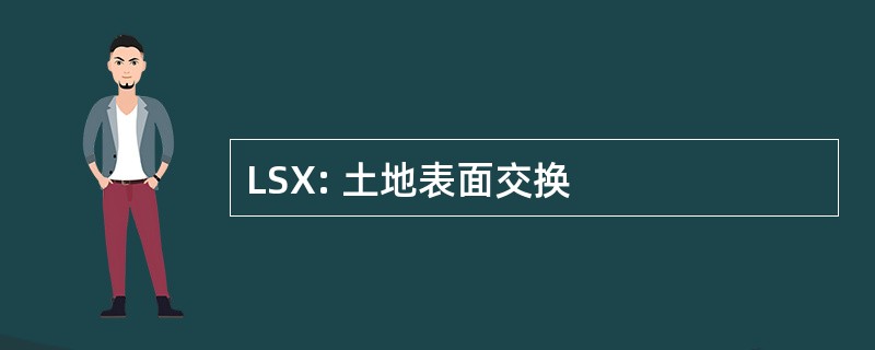 LSX: 土地表面交换