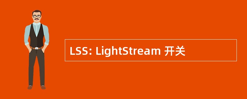 LSS: LightStream 开关