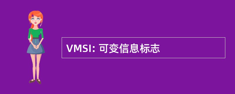 VMSI: 可变信息标志