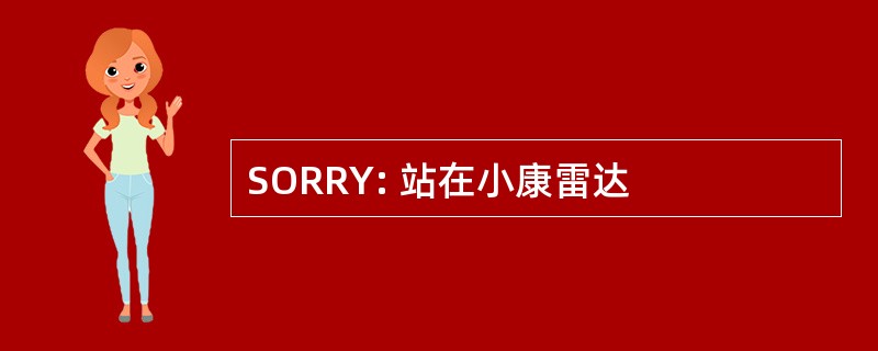 SORRY: 站在小康雷达