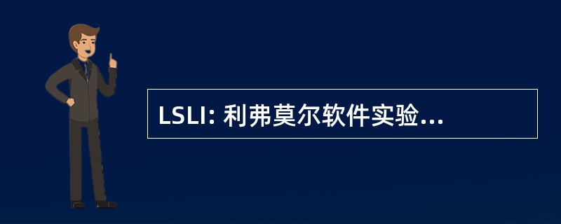 LSLI: 利弗莫尔软件实验室国际机场