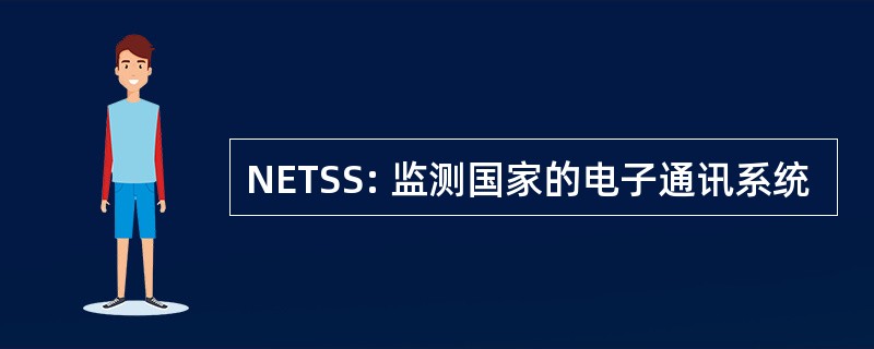 NETSS: 监测国家的电子通讯系统