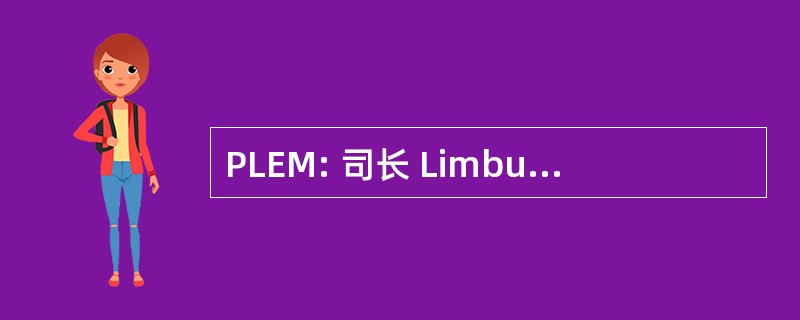 PLEM: 司长 Limburgse Electriciteits 公司