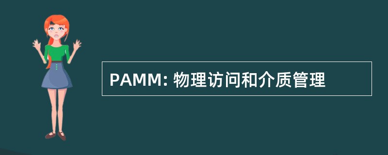 PAMM: 物理访问和介质管理