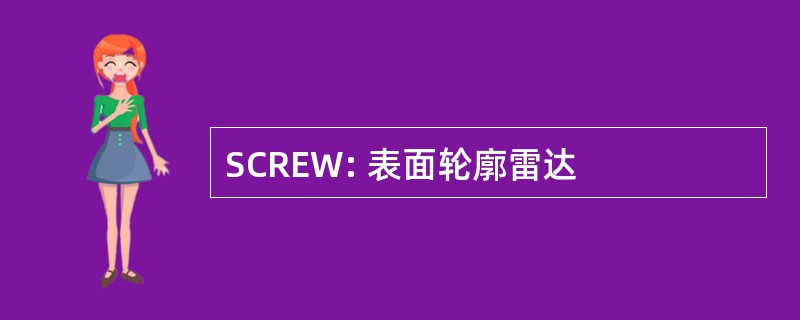 SCREW: 表面轮廓雷达