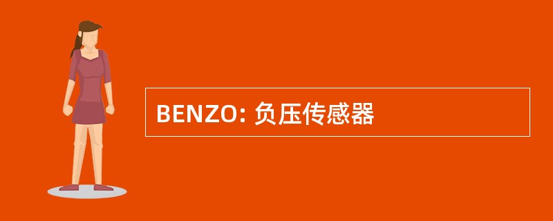 BENZO: 负压传感器