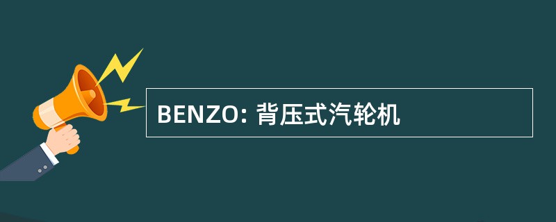 BENZO: 背压式汽轮机