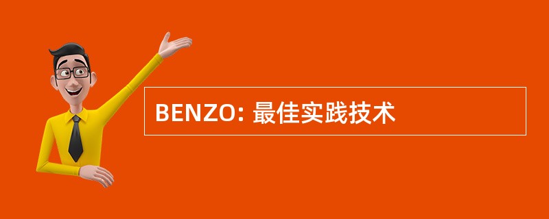 BENZO: 最佳实践技术