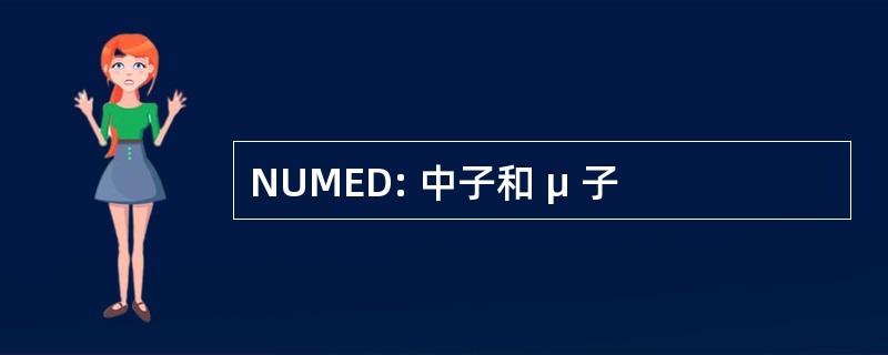 NUMED: 中子和 μ 子