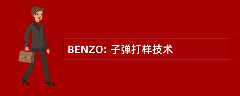 BENZO: 子弹打样技术