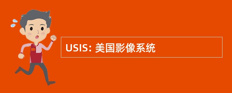 USIS: 美国影像系统